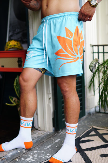 Frequency Shorts (Aqua)